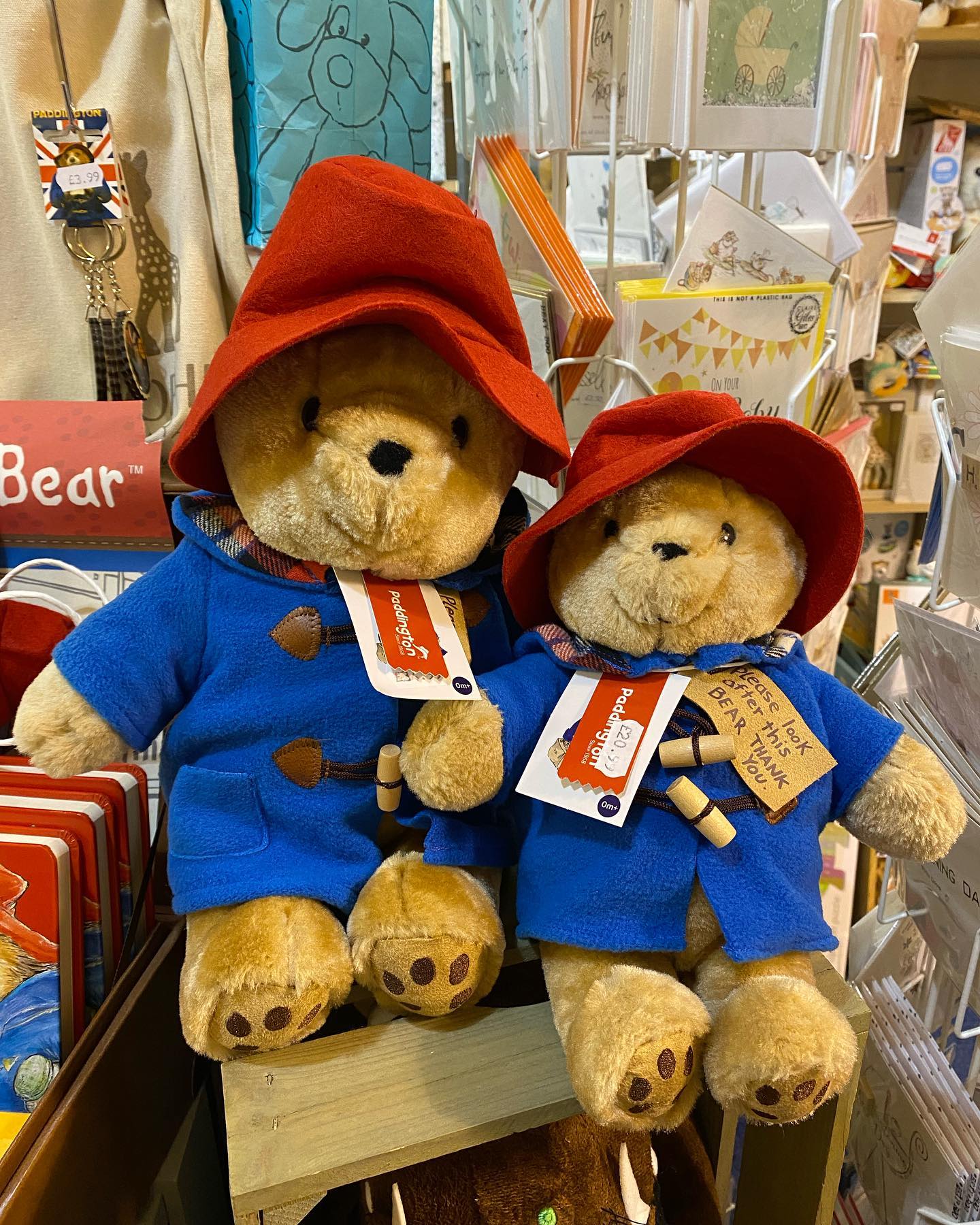Little Bear Company -  Canada