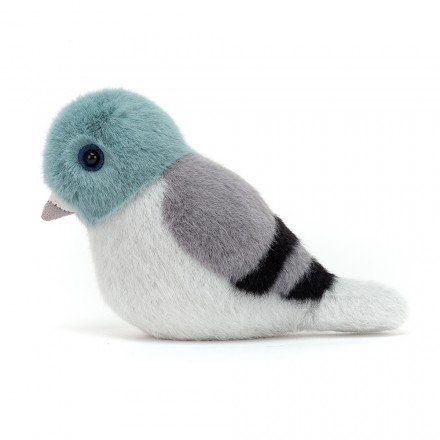 Pigeon online teddy bear