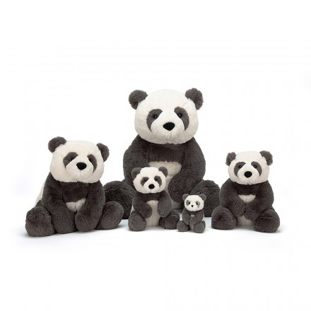 Jellycat Harry Panda Cub Soft Toy One More Bear One More Bear Trentham Stoke on Trent