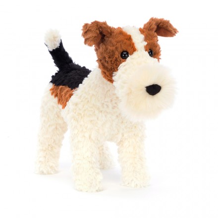 Dynasty toy fox terriers outlet